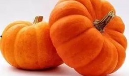 网红大瓜博雅吃瓜视频最全观看 2024大瓜事件,盘点全网最全大瓜事件